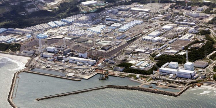 China Lifts Ban On Japanese Seafood 1 Japan To Use Fukushima Soil In Prime Minister’s Garden To Allay Nuclear Safety Fears