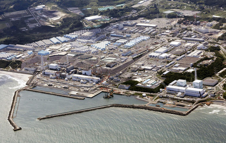 Japan To Use Fukushima Soil In Prime Minister’s Garden To Allay Nuclear Safety Fears 3 Japan To Use Fukushima Soil In Prime Minister’s Garden
To Allay Nuclear Safety Fears