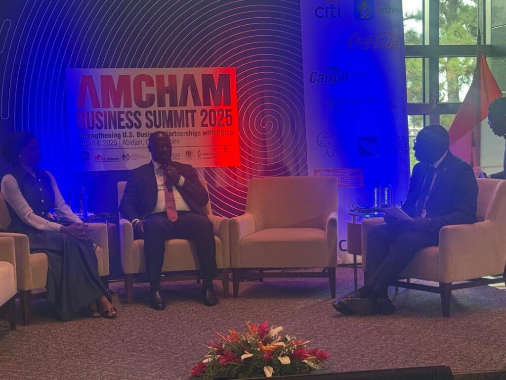 Ghana Drives Policy Alignment for Sustainable Green Minerals Development 3 Armah Buah @AmCham Business Summit 1 1