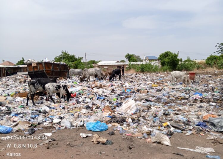 sanitation crisis in Bolga