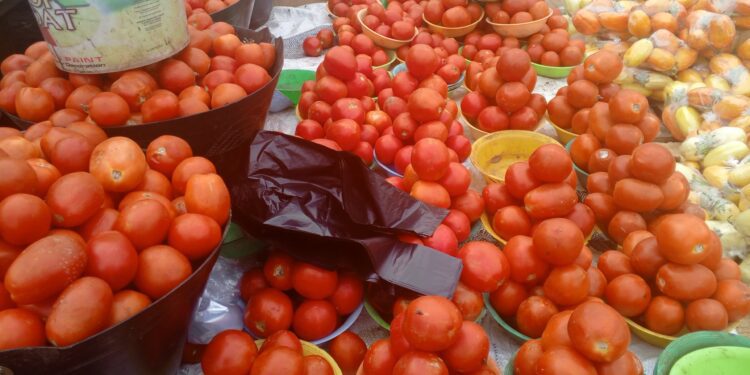 Tomato, Pepper Prices Soar In Bolgatanga Markets 1 Tomato price in Bolgatanga