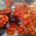 Tomato price in Bolgatanga