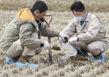 Japan To Use Fukushima Soil In Prime Minister’s Garden To Allay Nuclear Safety Fears 1 Japan To Use Fukushima Soil In Prime Minister’s Garden To Allay Nuclear Safety Fears