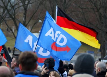 Afd Formally Designated As Extremist