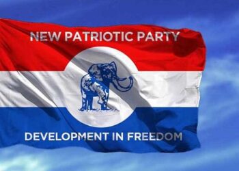 Six Days To File: NPP National Officer Nominations Open Until Saturday 4 npp flag1 2