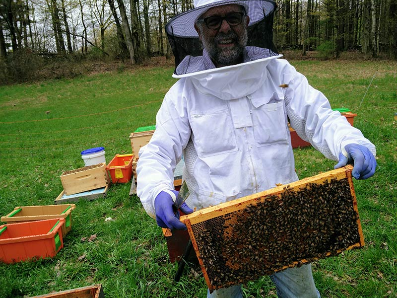 FONAR Urges Action to Protect Bees Amid Alarming Population Decline 3 protective beekeeping gear