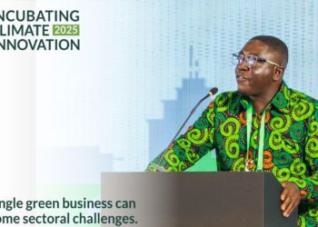 IMANI Calls for Bold Reforms to Scale Ghana’s Green Enterprises