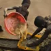 Global Child Labour Crisis Persists Despite 2025 Pledge