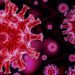 Ghana Health Service Confirms Mild COVID-19 Outbreak, Urges Vigilance 14 Covid-19