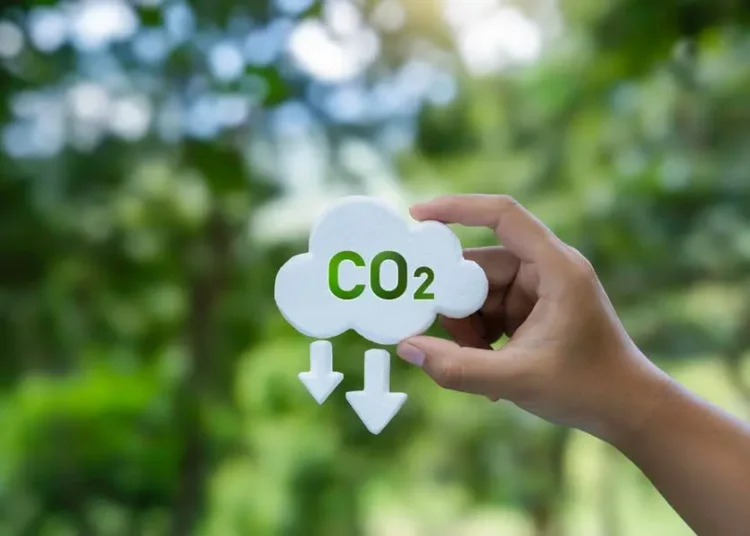 Global Carbon Pricing Revenue Surpasses $100 Billion in 2024 - World Bank 1 Global Carbon Pricing