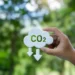 Global Carbon Pricing