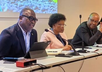 Ghana’s Climate Minister Urges Global Investment in African NDCs 