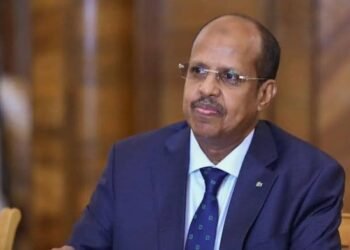 Africa Seeks Equal Voice In U.S. Partnership 1 Africa Reaffirms Unity On African Union Day