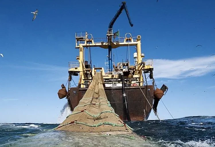 Fisheries Ministry Announces 2025 Closed Fishing Season 1 trawl-vessels