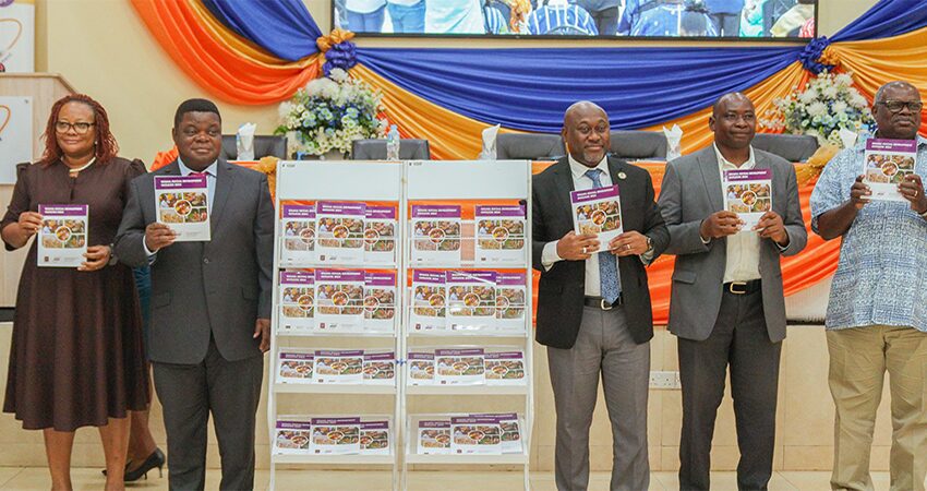 Ghana’s Development Engine Sputters: ISSER Urges Bold Reforms in Land, Jobs, and Inclusion 2 12