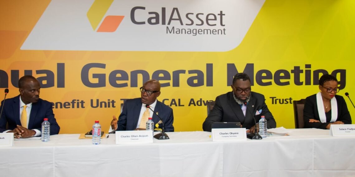 Cal Asset Management Shocks Market with Stunning 32.43% Return in 2024