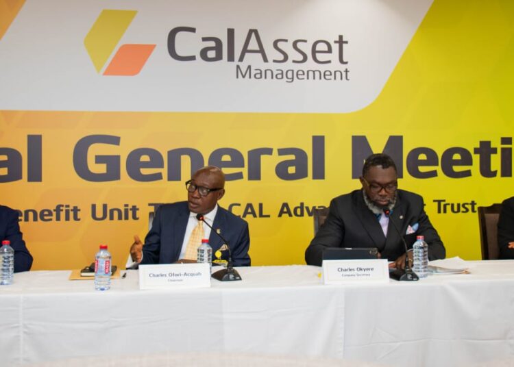 Cal Asset Management Shocks Market with Stunning 32.43% Return in 2024