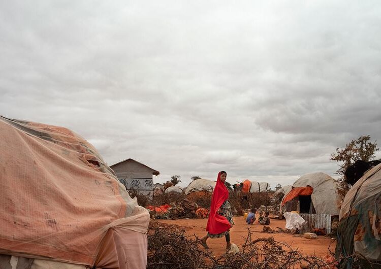 Global Drought Crisis Unfolds With Devastating Impact 1 Global Drought Crisis Unfolds With Devastating Impact