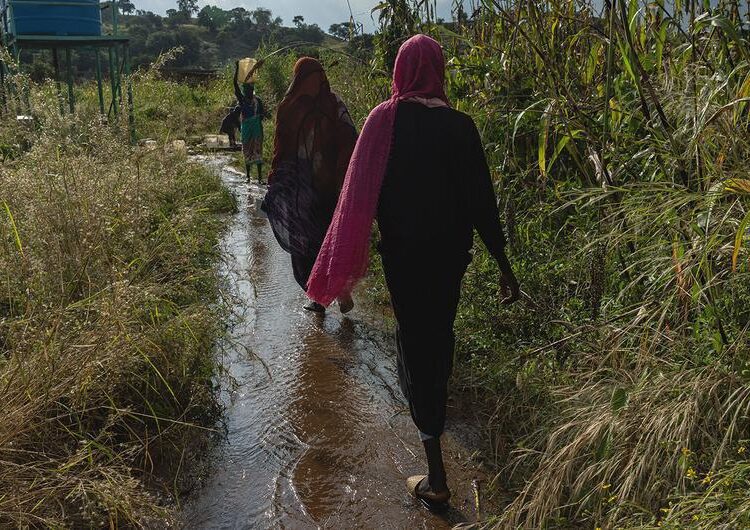 Funding Cuts Cripple UN Refugee Operations Globally