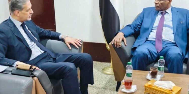 Egypt Rejects RSF's Attempted Parallel Government
