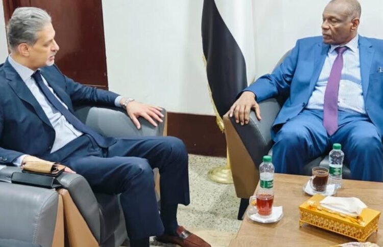 Egypt Rejects RSF's Attempted Parallel Government