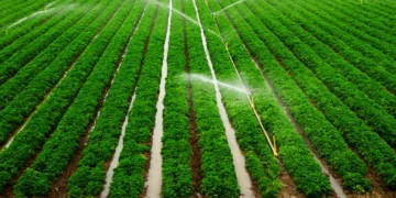 Mahama Unveils Ambitious Plan to Irrigate 2 Million Hectares Under 24-Hour Economy