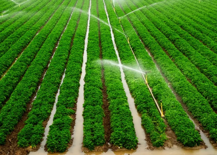 Mahama Unveils Ambitious Plan to Irrigate 2 Million Hectares Under 24-Hour Economy 1 Mahama Unveils Ambitious Plan to Irrigate 2 Million Hectares Under 24-Hour Economy