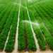 Mahama Unveils Ambitious Plan to Irrigate 2 Million Hectares Under 24-Hour Economy