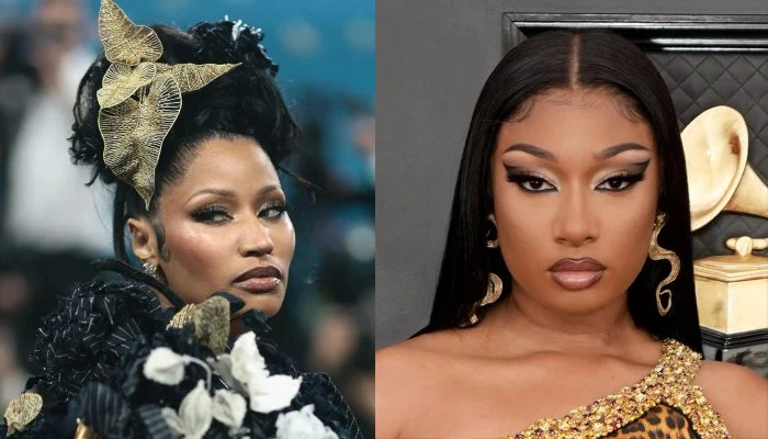 Nicki Minaj Disses Megan Thee Stallion