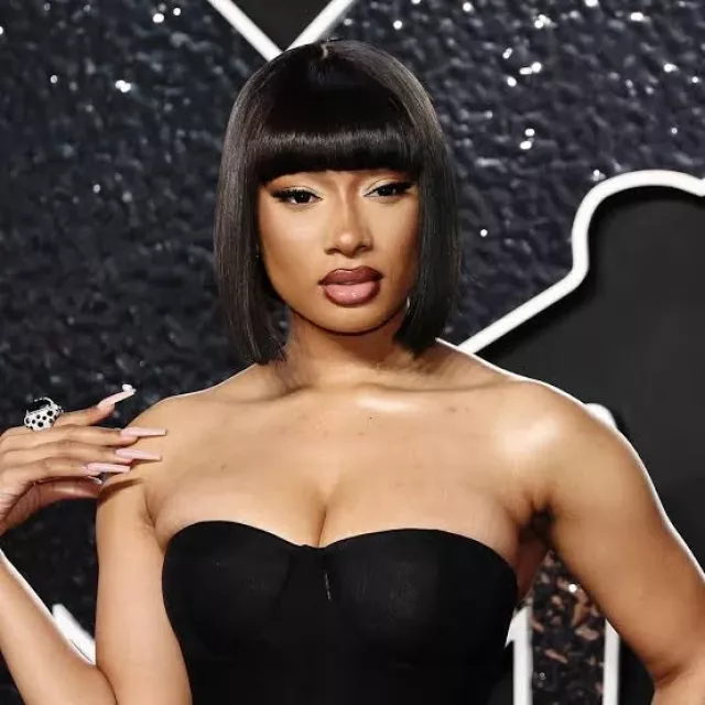 Nicki Minaj Disses Megan Thee Stallion