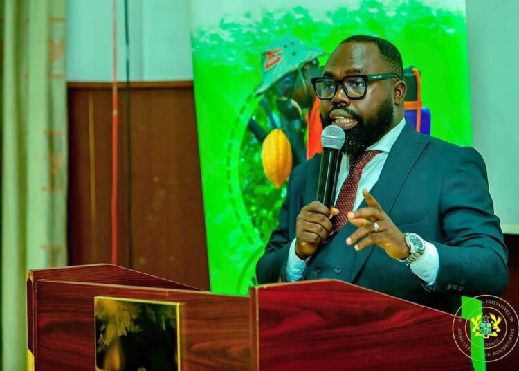 Ghana Moves to Ban Raw Shea Nut Exports by 2026 to Boost Local Value Addition 1 Ghana Moves to Ban Raw Shea Nut Exports by 2026 to Boost Local Value Addition
