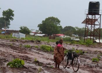 New Wave Of Violence Displaces Thousands In Mozambique 1 New Wave Of Violence Displaces Thousands In Mozambique