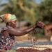 Cocoa farmer