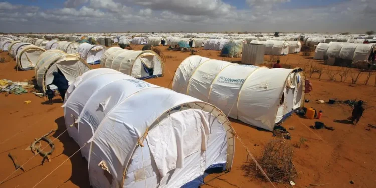 WFP Slashes Refugee Food Aid In Kenya