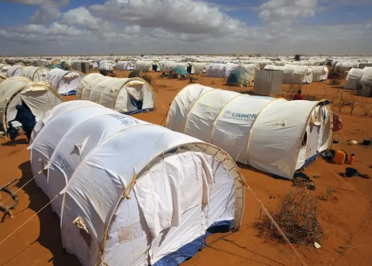 WFP Slashes Refugee Food Aid In Kenya 1 WFP Slashes Refugee Food Aid In Kenya