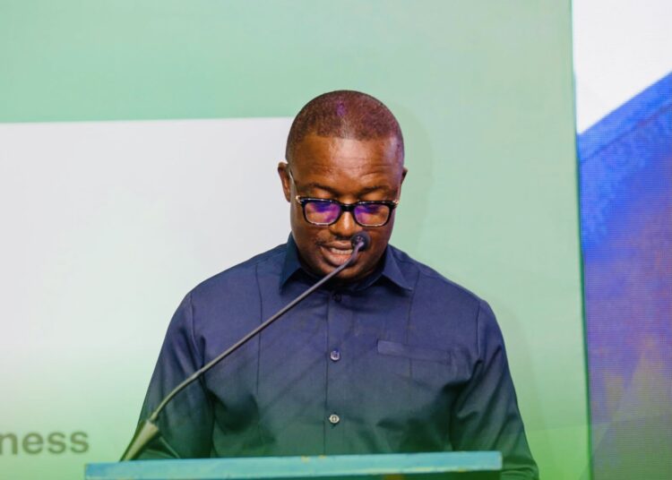 Hon. John Jinapor, Minister for Energy and Green Transition