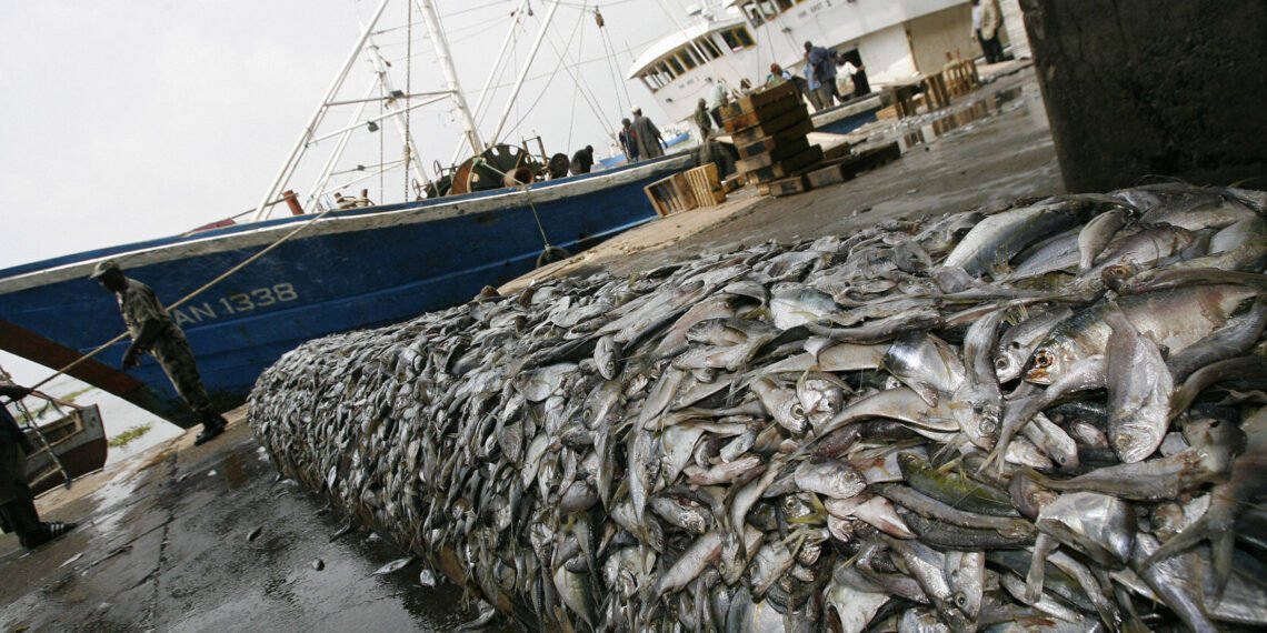 Nuclear Science ‘Casts Net’ On Seafood Fraud 1 Nuclear Science ‘Casts Net’ On Seafood Fraud