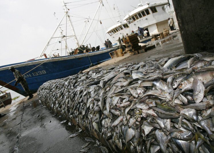 Nuclear Science ‘Casts Net’ On Seafood Fraud 1 Nuclear Science ‘Casts Net’ On Seafood Fraud