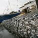 Nuclear Science ‘Casts Net’ On Seafood Fraud