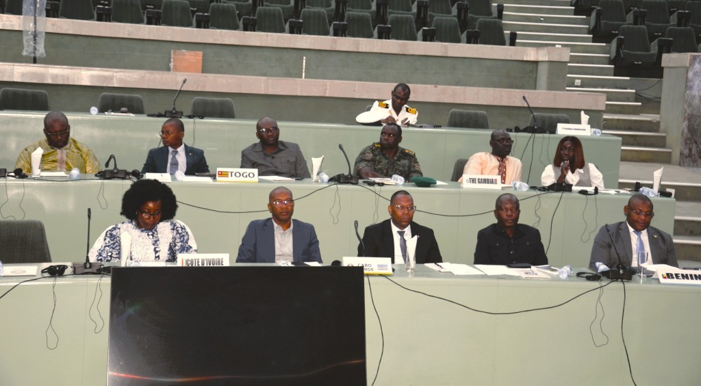 ecowas humanitarian strategy 2