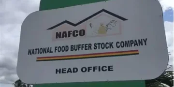 Ketu North Rice Farmers Get Guaranteed Market as NAFCO Operationalizes Abandoned Warehouse