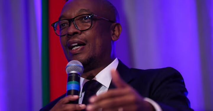 South African Minister of Trade, Industry and Competition, Parks Tau