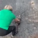 Kentucky Nurse Saves Drunk Baby Raccoon With CPR 12 Misty Combs