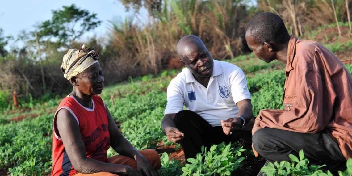 $3.5bn Food Import Nightmare Looms as Illegal Mining Pollutes Ghana’s Farms and Water 1 $3.5bn Food Import Nightmare Looms as Illegal Mining Pollutes Ghana’s Farms and Water