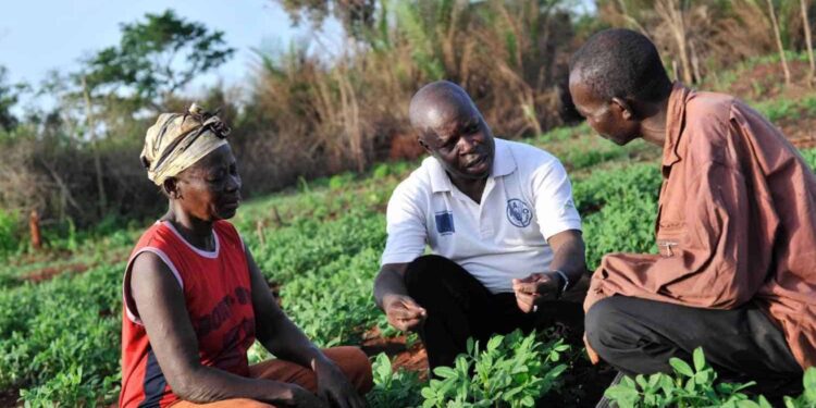 $3.5bn Food Import Nightmare Looms as Illegal Mining Pollutes Ghana’s Farms and Water 1 $3.5bn Food Import Nightmare Looms as Illegal Mining Pollutes Ghana’s Farms and Water