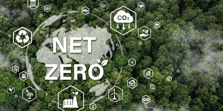 Net-Zero Transition 