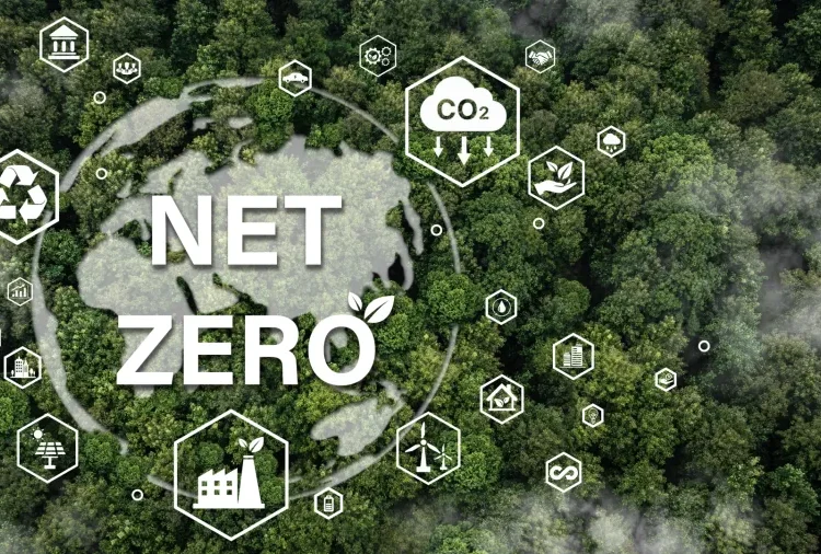 Net-Zero Transition 