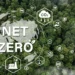 Net-Zero Transition 