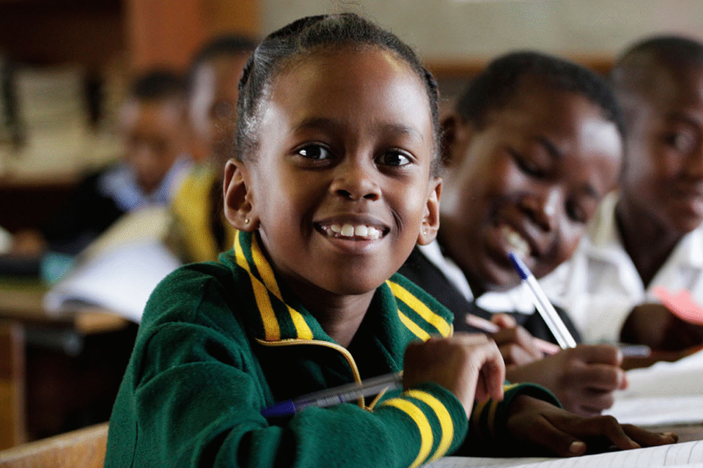 Nigeria Reintroduces History In Basic School Curriculum 2 state of public primary schools in nigeria