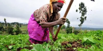 Ghana’s Rising Food Insecurity Demands Urgent Systemic Reform